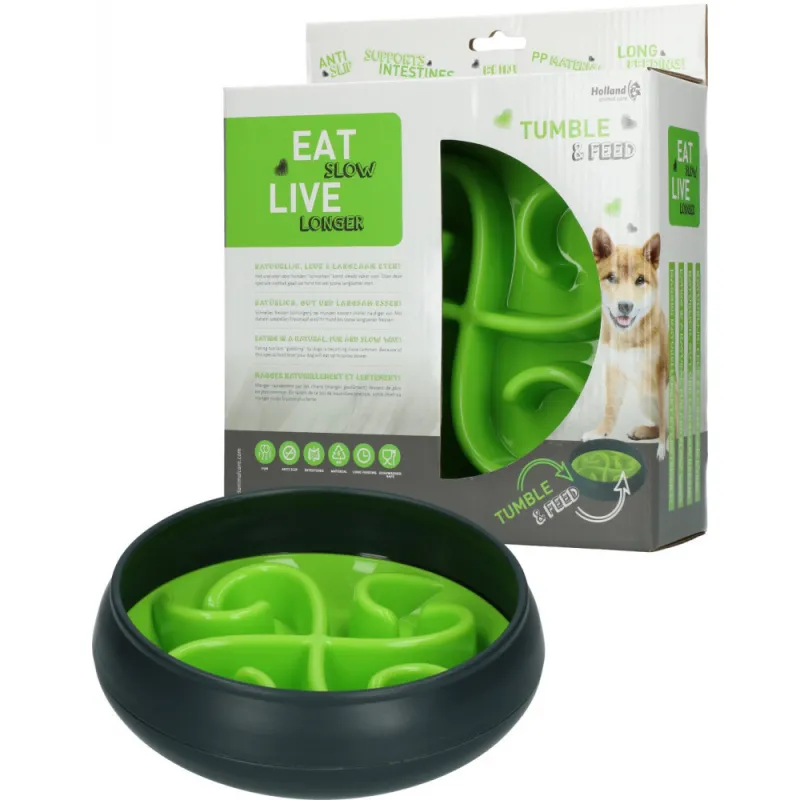 Ciotola per cibo lento, perfetta per l'uso domestico, promuove la salute del cane