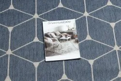 Tappeto DI SPAGO SISAL FLAT 48721/591 CUBI 3D blu