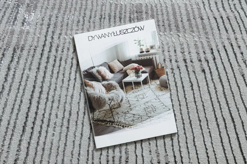 Dywan BLISS Z206AZ256 jasnoszary / szary - Linie, nowoczesny, strukturalny 