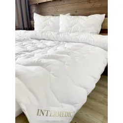 Set Piumone + Cuscino Aloe Vera Antiallergenico 90x130/45x65 cm