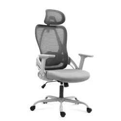 Poltrona da ufficio ergonomica Manager 2.9 Grigio
