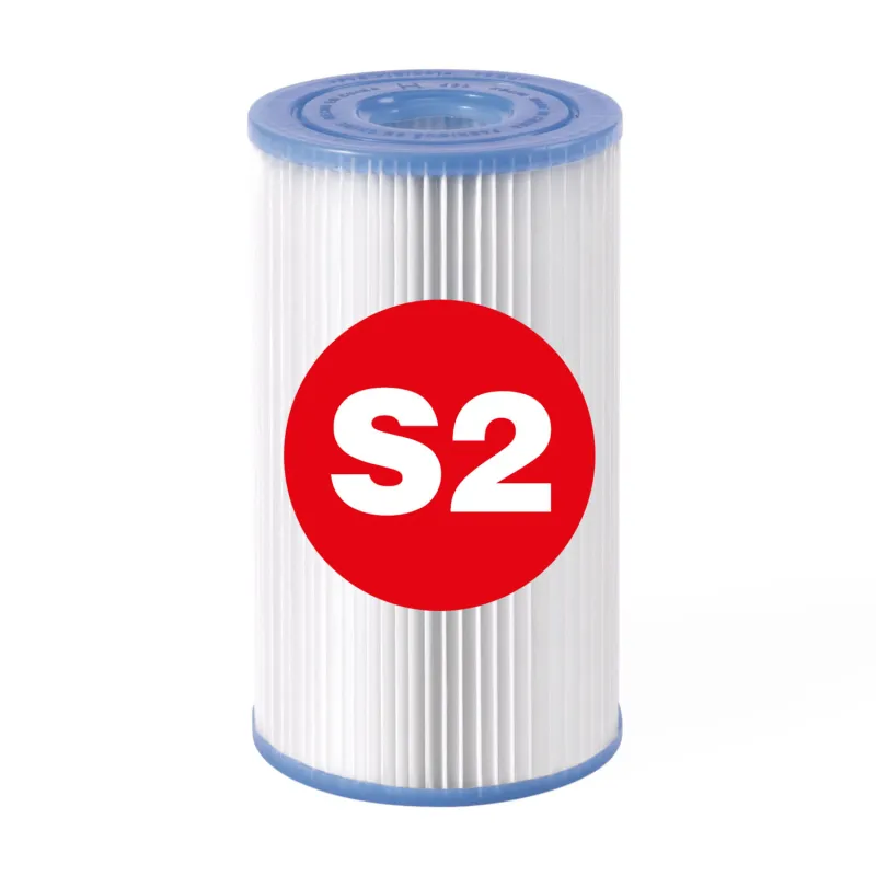 Filtro per pompa Pure SPA 2 pz tipo S2 Intex 20912 per acqua pulita in SPA