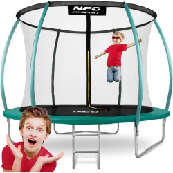 Trampolino da Giardino 10ft/312cm con Rete, Pali Profilati e Scala
